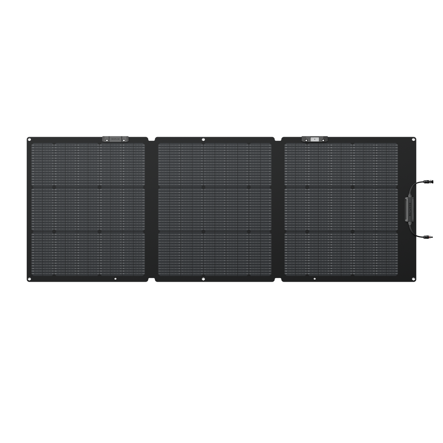 EcoFlow 160W Portable Solar Panel (NextGen, Single)