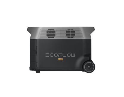 EcoFlow DELTA Pro