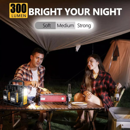 350W Portable Inverter for Dewalt 20V Battery